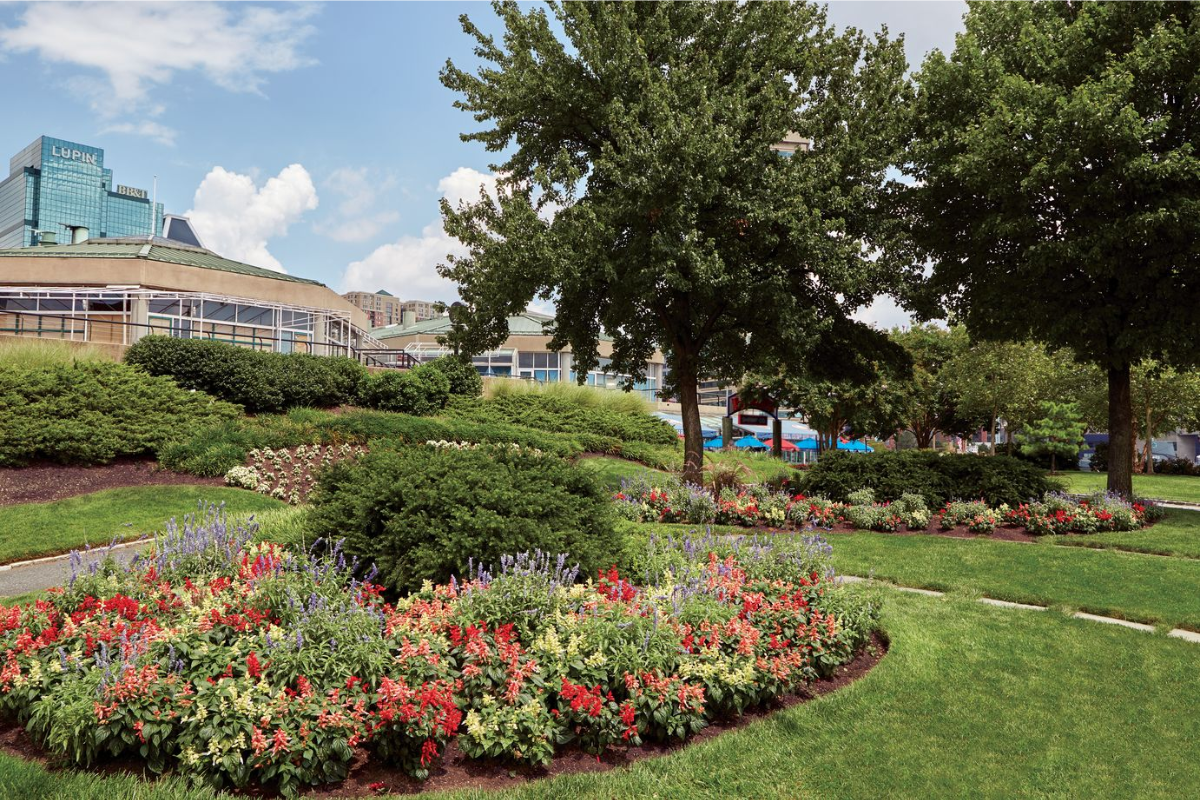 Landscaping Services Washington DC